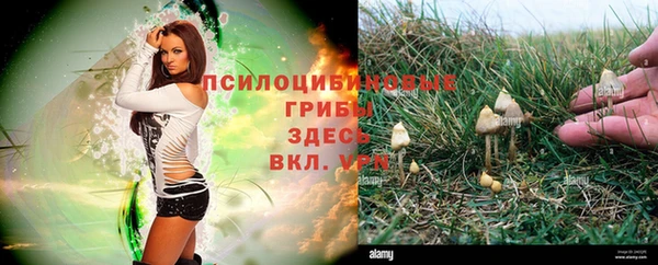 гидропоника Заволжск