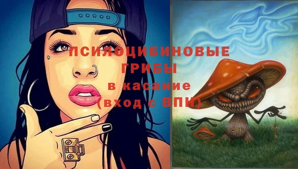 гидропоника Заволжск